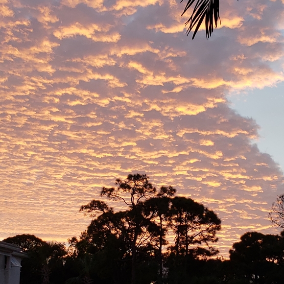 Meet your Posher, Patty - Picture 4 of 4